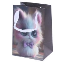 ساک دستی مقوایی 40113