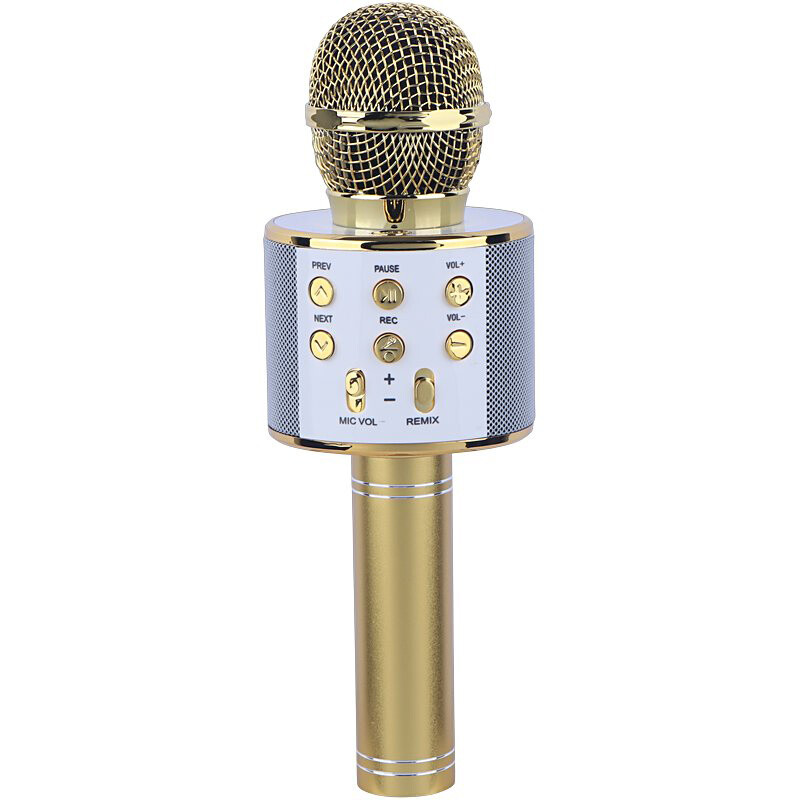 میکروفون اسپیکر فرست F69