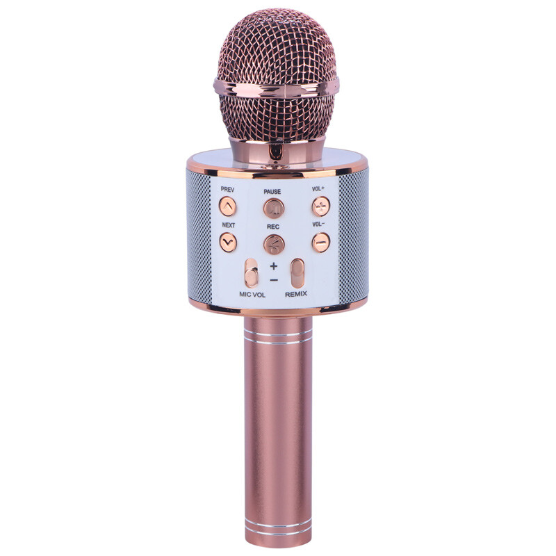 میکروفون اسپیکر فرست F69