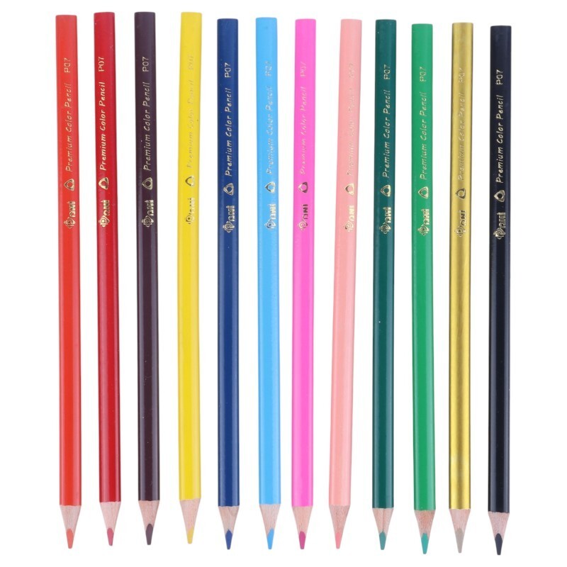 مداد رنگی 12 رنگ پانی P-07