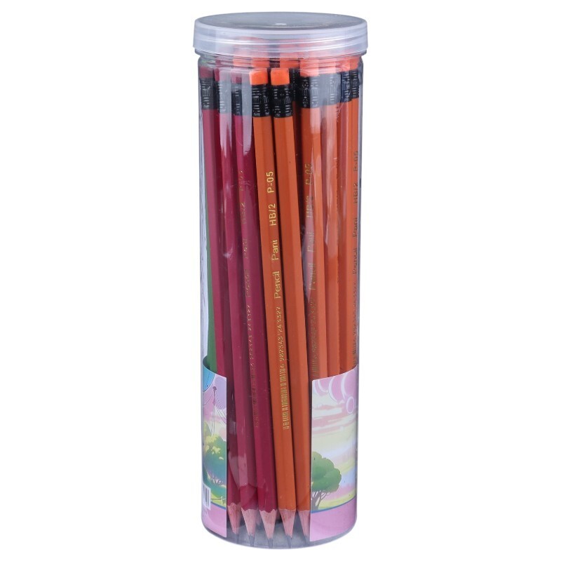 مداد مشکی پاک کن دار پانی P05