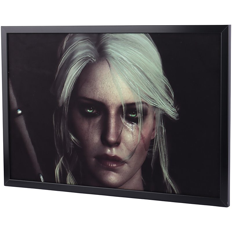 تابلو شاسی طرح The Witcher سایز 40*60 سانتی متر