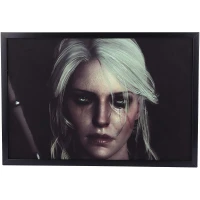 تابلو شاسی طرح The Witcher سایز 40*60 سانتی متر