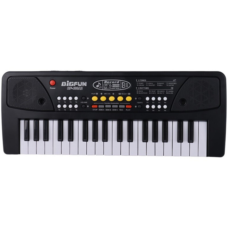 اسباب بازی ارگ همراه میکروفون بیگ فان BF-430A2 کد 101482