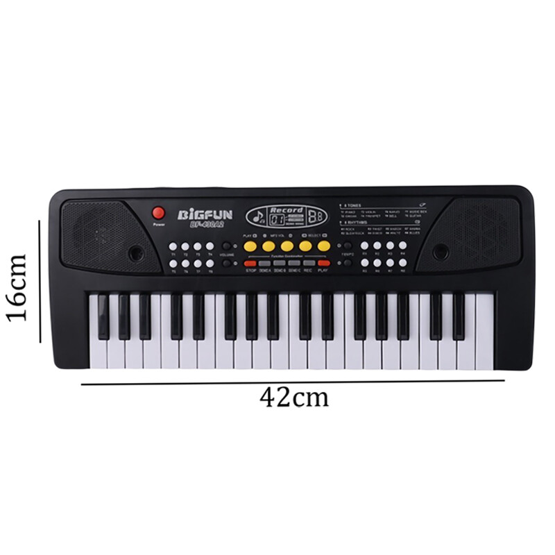 اسباب بازی ارگ همراه میکروفون بیگ فان BF-430A2 کد 101482
