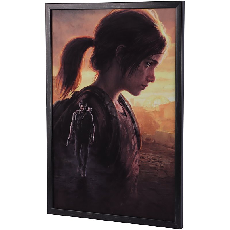 تابلو شاسی طرح The Last of Us سایز 40*60 سانتی متر کد 3