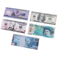 پاکت پول طرح اسکناس Rose Card 80x190mm