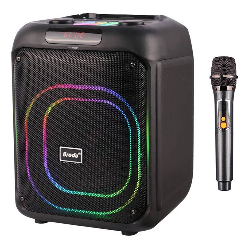 اسپیکر بلوتوثی برودو BTS-2107 + میکروفون
