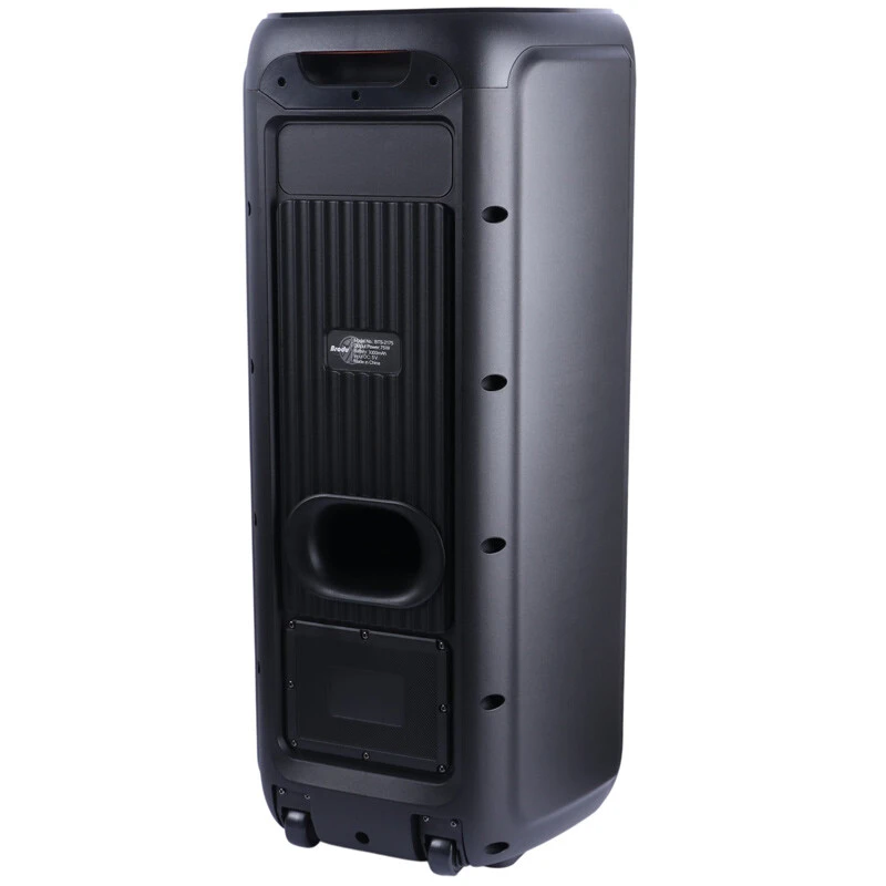 اسپیکر چمدانی بلوتوثی برودو BTS-2175 + میکروفون