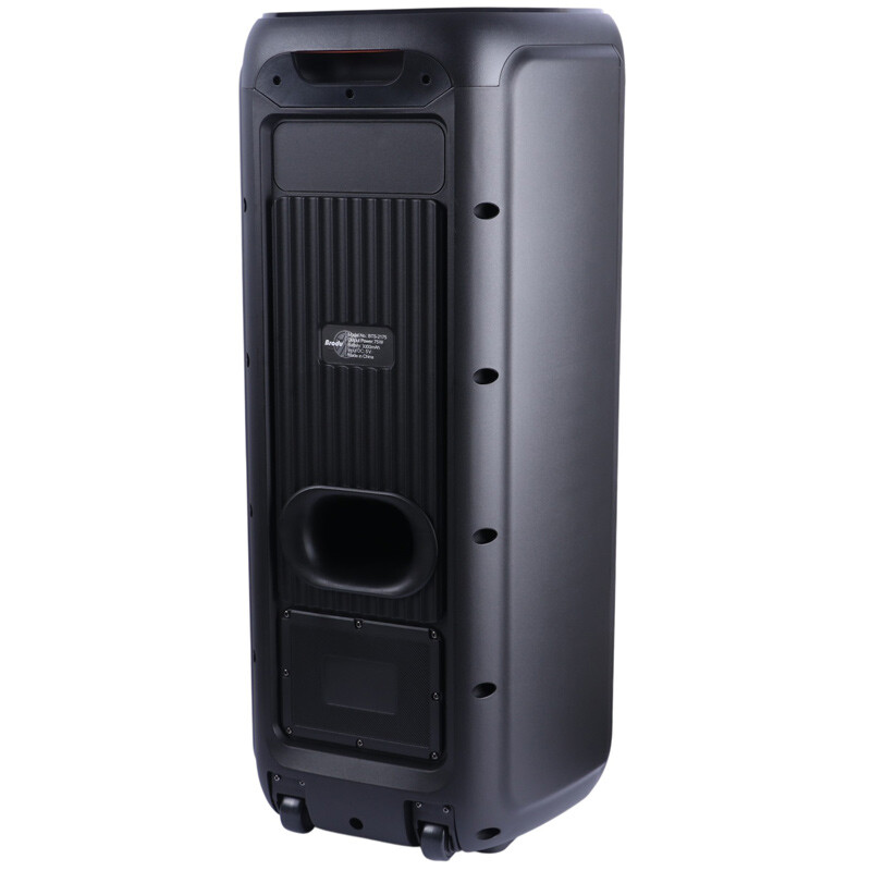 اسپیکر چمدانی بلوتوثی برودو BTS-2175 + میکروفون