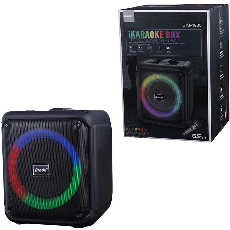 اسپیکر بلوتوثی برودو BTS-1935 + میکروفون