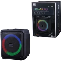 اسپیکر بلوتوثی برودو BTS-1935 + میکروفون