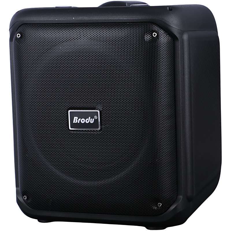 اسپیکر بلوتوثی برودو BTS-1935 + میکروفون