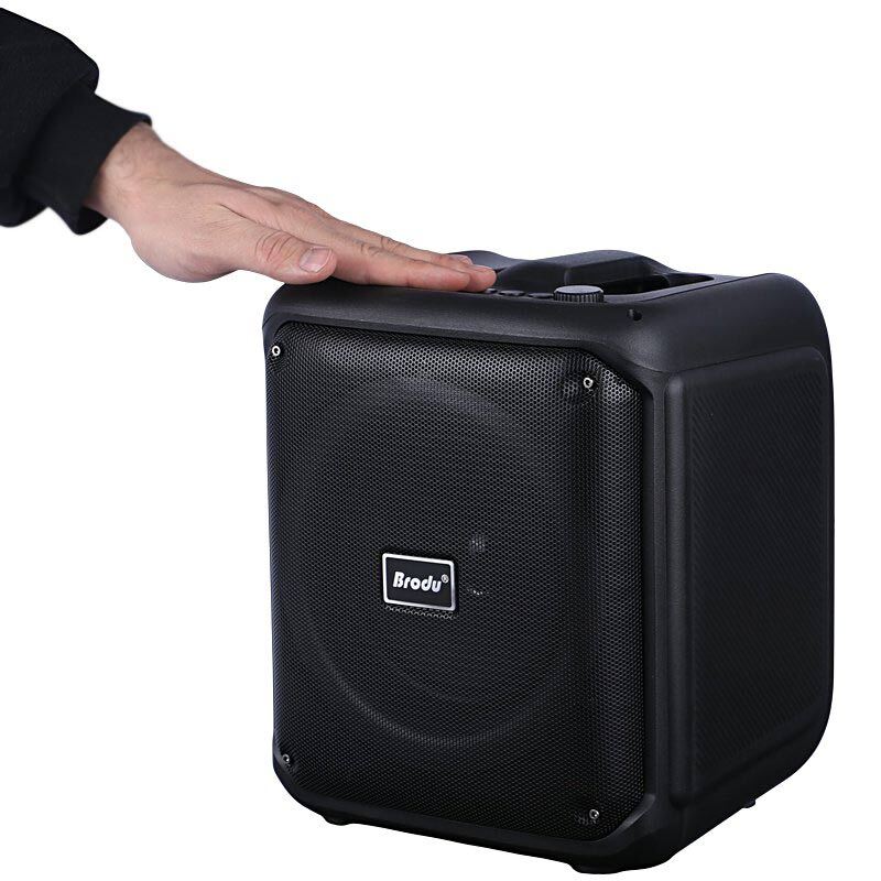 اسپیکر بلوتوثی برودو BTS-1935 + میکروفون