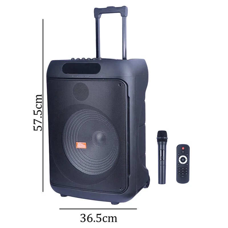 اسپیکر چمدانی بلوتوثی سینگ ای ZQS15125 + میکروفون و ریموت کنترل