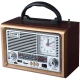 رادیو اسپیکر بلوتوثی ان ان اس NS-8890BT