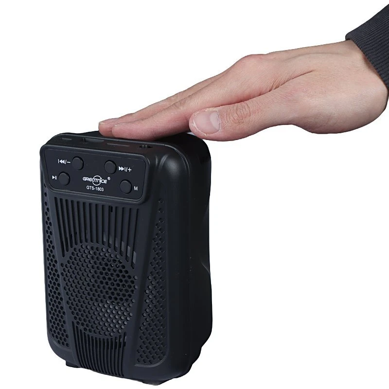 اسپیکر بلوتوثی گریت نایس GTS-1803 + ریموت کنترل