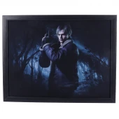 تابلو شاسی طرح Resident Evil سایز 30*40 سانتی متر کد 2