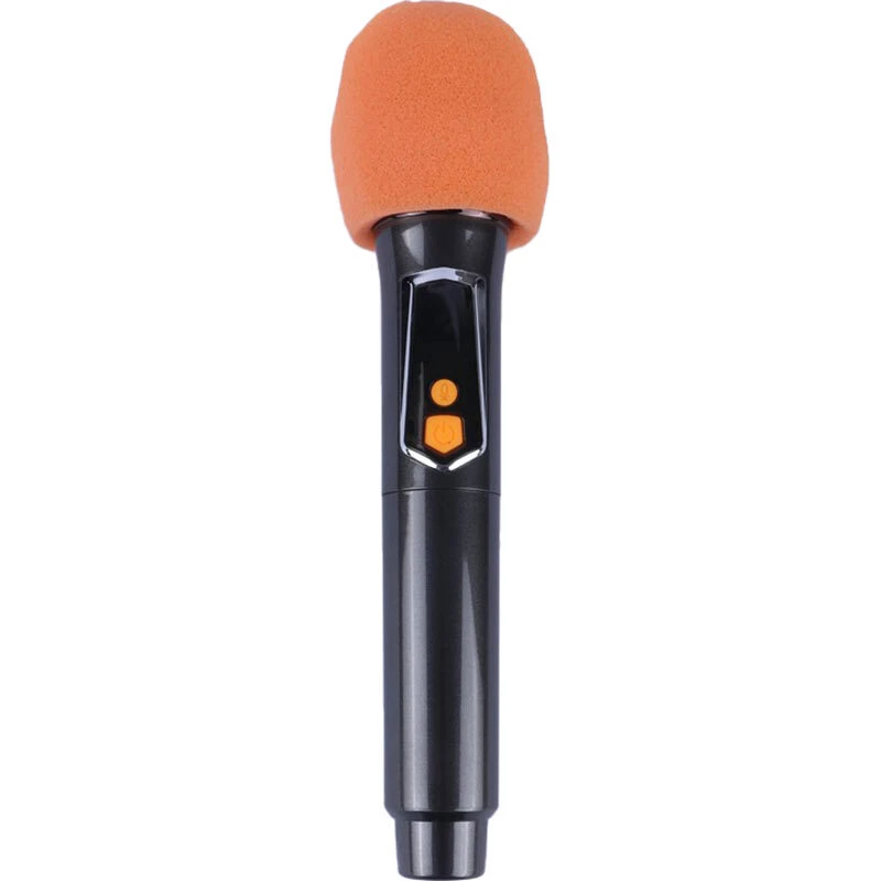 اسپیکر چمدانی بلوتوثی برودو BTS-2258 + میکروفون