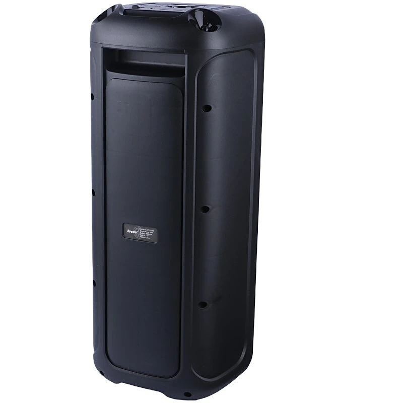 اسپیکر چمدانی بلوتوثی برودو BTS-2258 + میکروفون