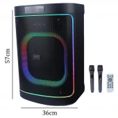 اسپیکر چمدانی بلوتوثی برودو BTS-2248 + میکروفون و ریموت کنترل