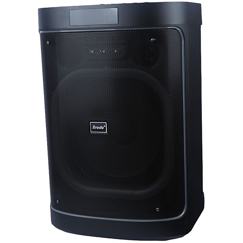 اسپیکر چمدانی بلوتوثی برودو BTS-2248 + میکروفون و ریموت کنترل