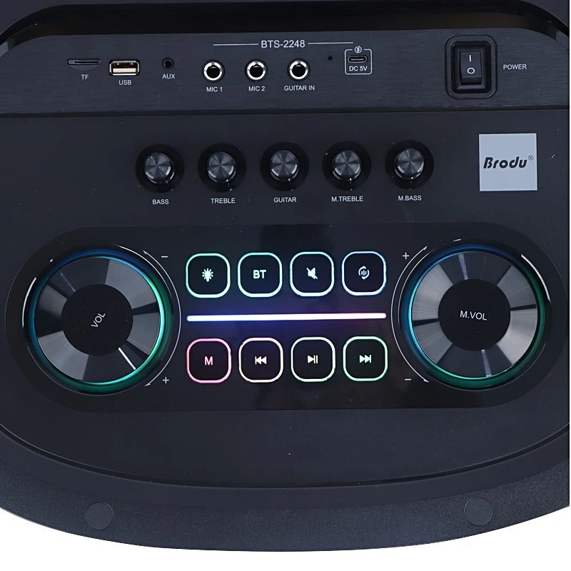 اسپیکر چمدانی بلوتوثی برودو BTS-2248 + میکروفون و ریموت کنترل