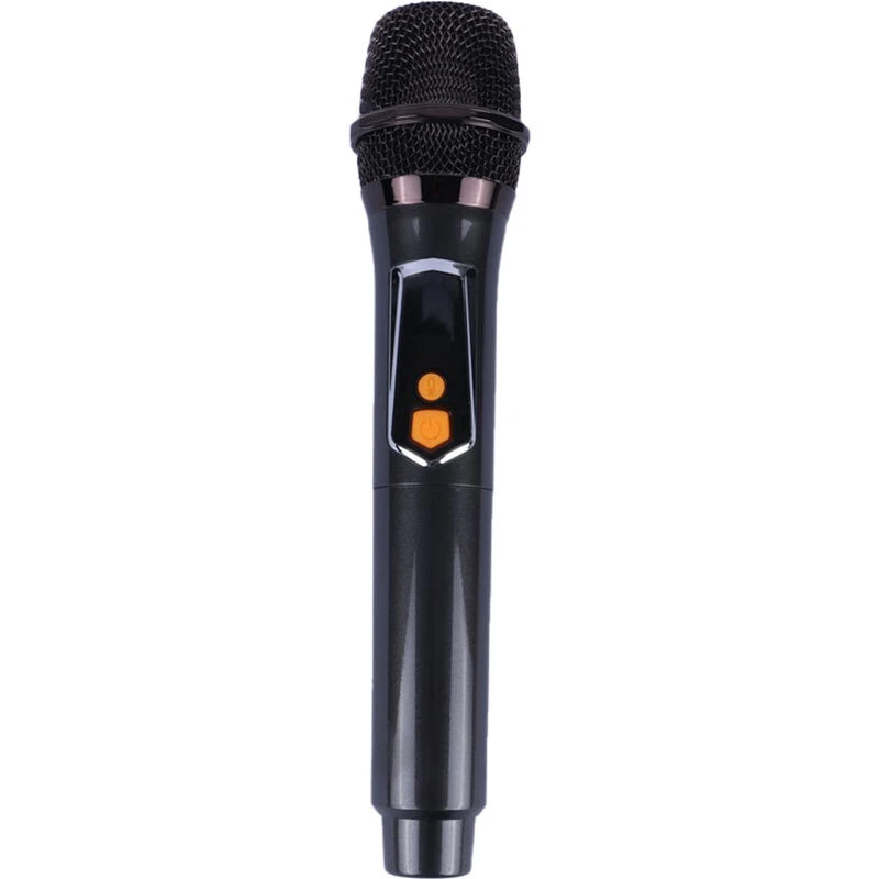 اسپیکر چمدانی بلوتوثی برودو BTS-2248 + میکروفون و ریموت کنترل