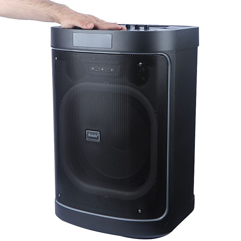 اسپیکر چمدانی بلوتوثی برودو BTS-2248 + میکروفون و ریموت کنترل