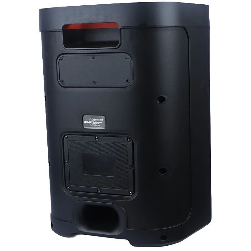 اسپیکر چمدانی بلوتوثی برودو BTS-2248 + میکروفون و ریموت کنترل