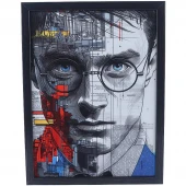 تابلو شاسی طرح Harry Potter سایز 30*40 سانتی متر