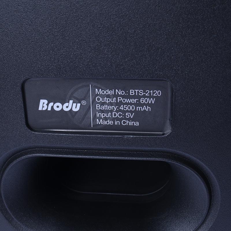 اسپیکر چمدانی بلوتوثی برودو BTS-2120 + میکروفون و ریموت کنترل