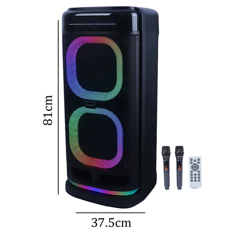 اسپیکر چمدانی بلوتوثی برودو BTS-2120 + میکروفون و ریموت کنترل