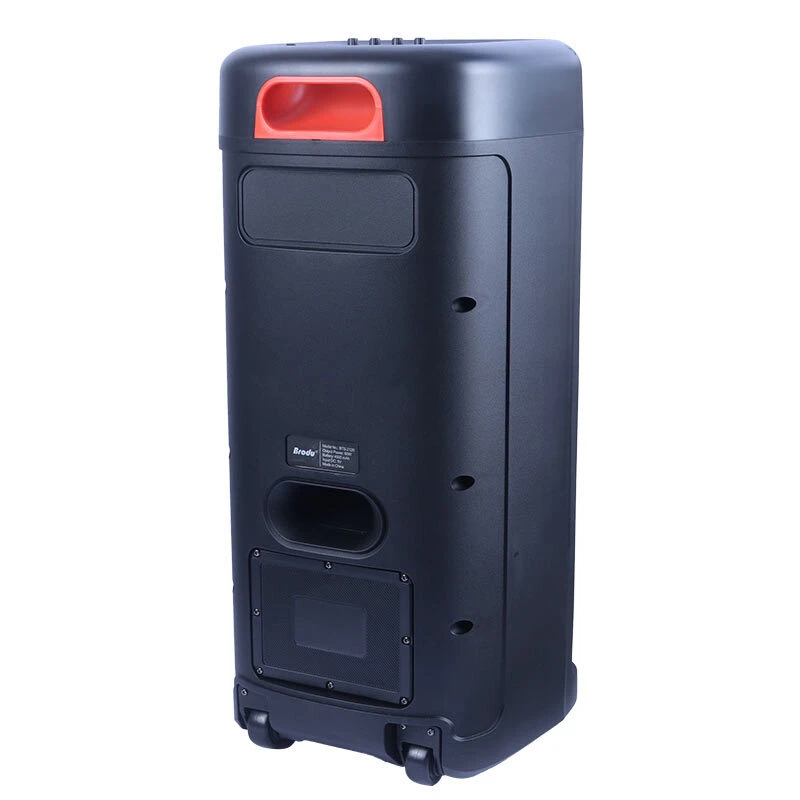 اسپیکر چمدانی بلوتوثی برودو BTS-2120 + میکروفون و ریموت کنترل