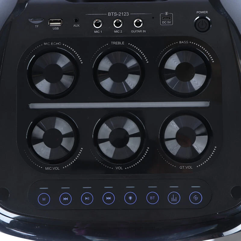 اسپیکر چمدانی بلوتوثی برودو BTS-2123 + میکروفون و ریموت کنترل