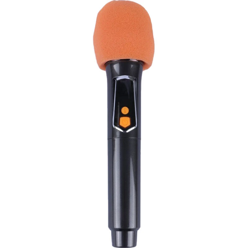 اسپیکر چمدانی بلوتوثی برودو BTS-2172 + میکروفون و ریموت کنترل