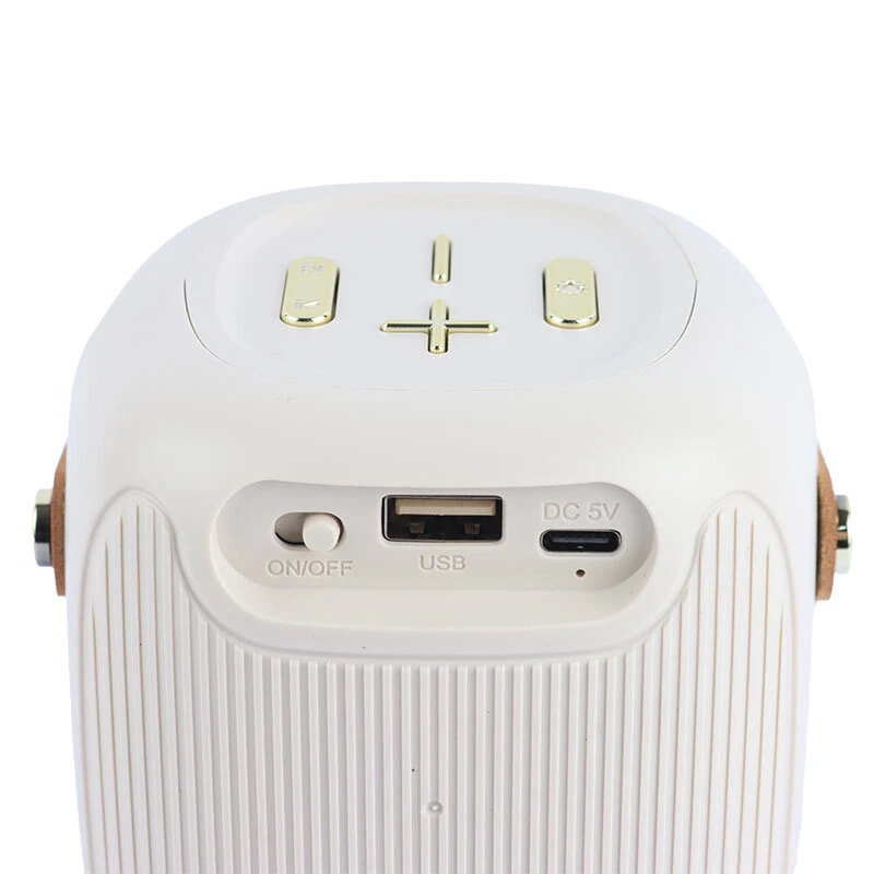 اسپیکر بلوتوثی گریت نایس GTS-1679