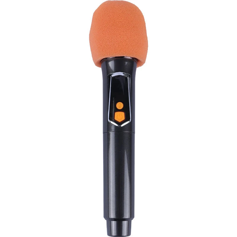 اسپیکر چمدانی بلوتوثی برودو BTS-2241 + میکروفون و ریموت کنترل