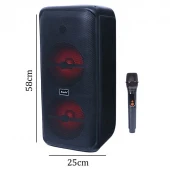 اسپیکر چمدانی بلوتوثی برودو BTS-2225 + میکروفون