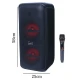 اسپیکر چمدانی بلوتوثی برودو BTS-2225 + میکروفون
