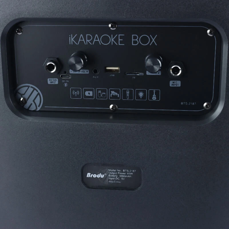 اسپیکر بلوتوثی برودو BTS-2187 + میکروفون