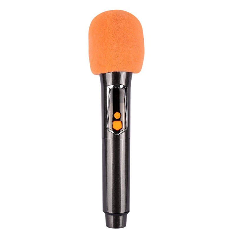 اسپیکر چمدانی بلوتوثی برودو BTS-2255 + میکروفون