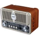 رادیو اسپیکر بلوتوثی ان ان اس NS-7081BT