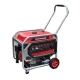 موتور برق بنزینی ادون Pro Max EPM-15000A-S توان 13000 وات