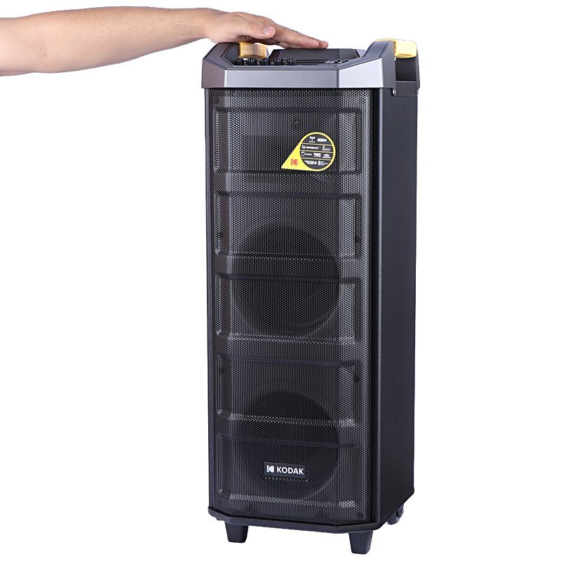 اسپیکر چمدانی بلوتوثی کداک RTS-4107 + میکروفون و ریموت کنترل