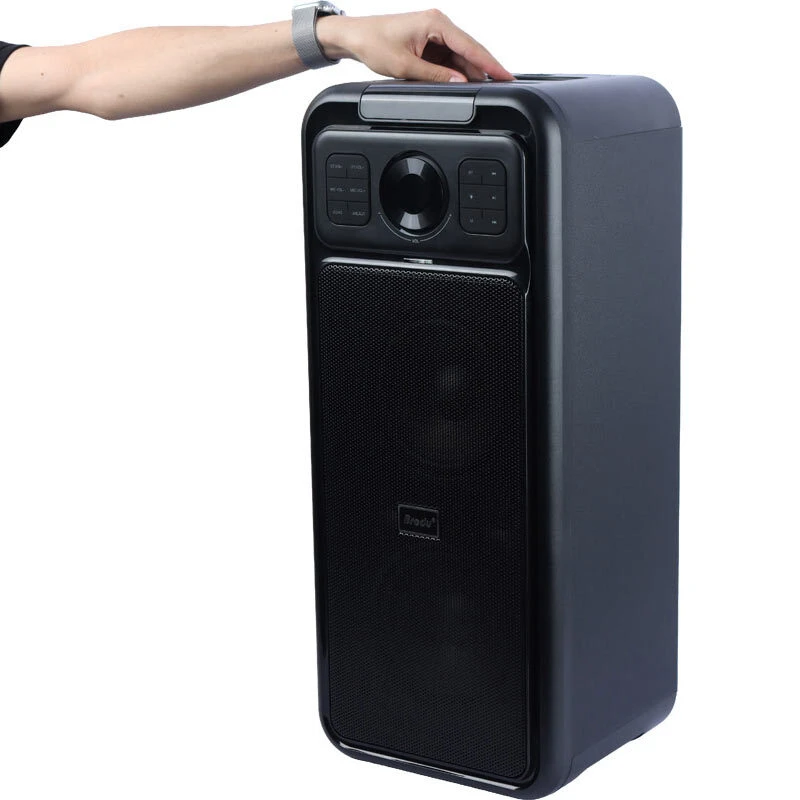 اسپیکر بلوتوثی برودو BTS-2247 + میکروفون