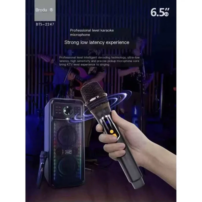 اسپیکر بلوتوثی برودو BTS-2247 + میکروفون