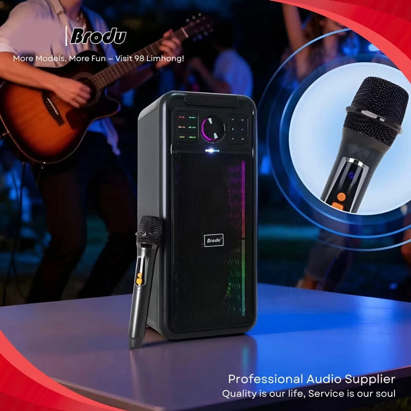 اسپیکر بلوتوثی برودو BTS-2245 + میکروفون