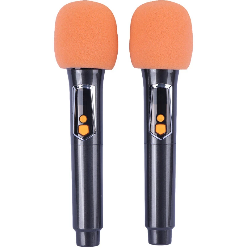 اسپیکر چمدانی بلوتوثی برودو BTS-2291 + میکروفون و ریموت کنترل