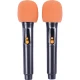 اسپیکر چمدانی بلوتوثی برودو BTS-2291 + میکروفون و ریموت کنترل